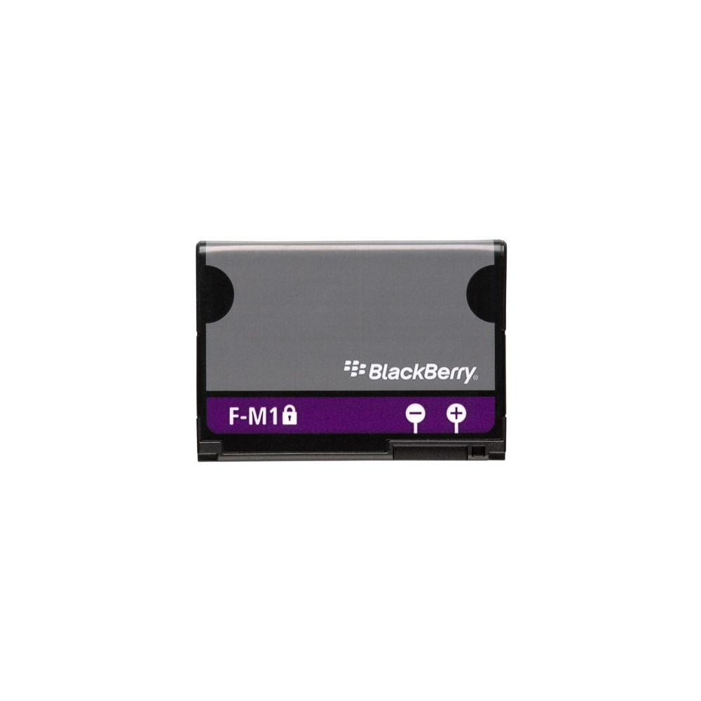 fm-1 fm-1