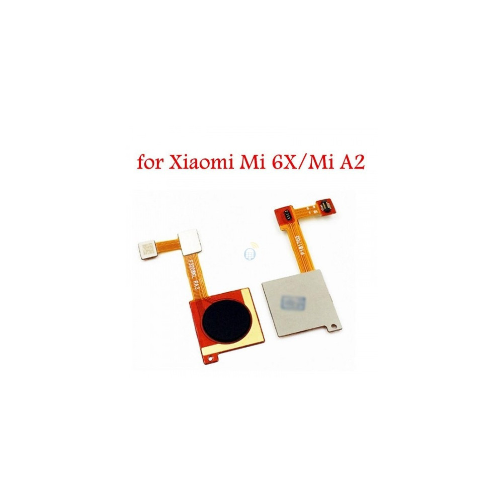 6X6-500x500 6X6-500x500