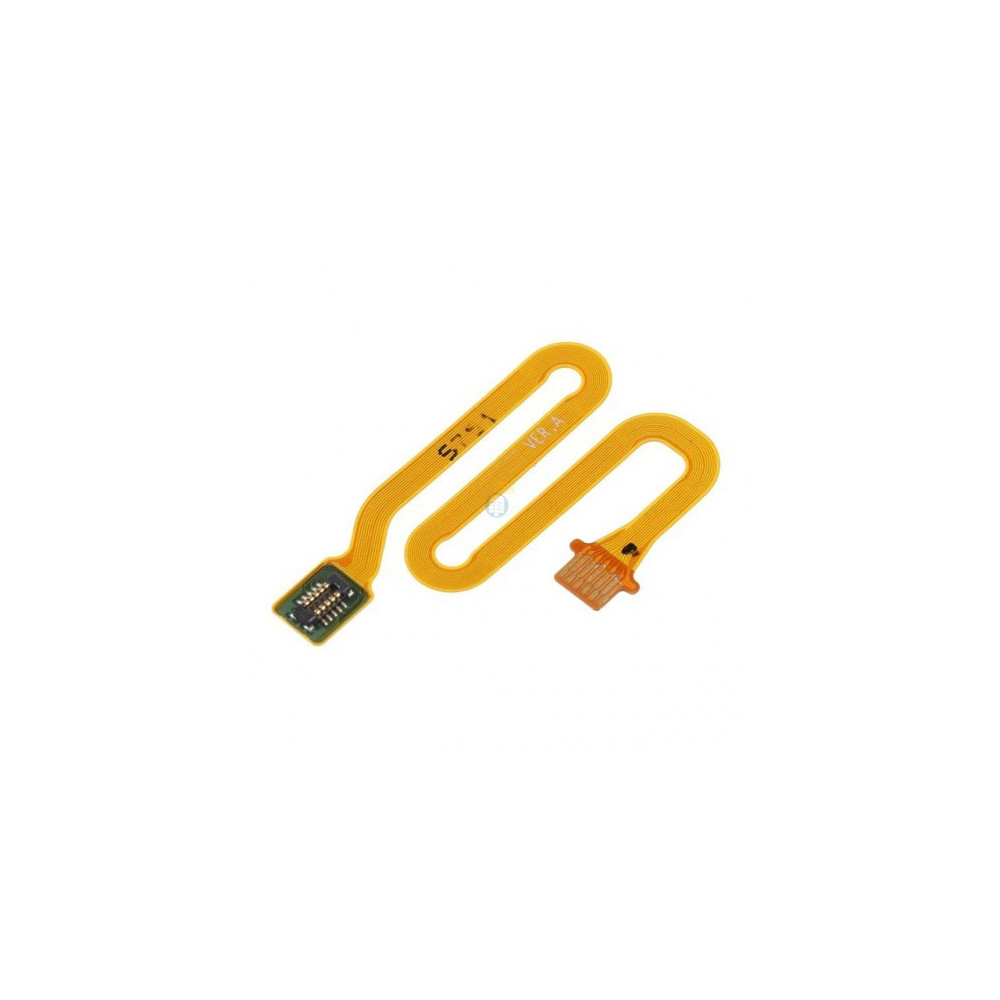 P20004-500x500 P20004-500x500