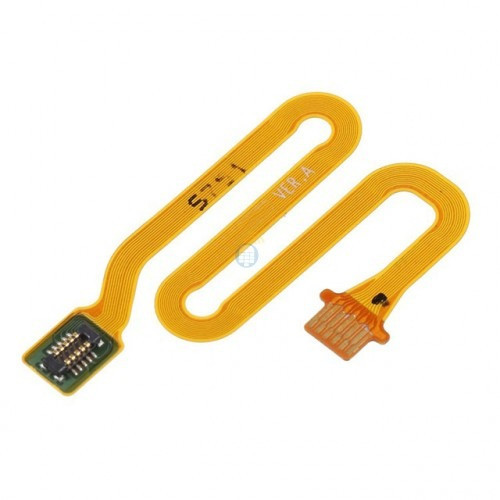 P20004-500x500