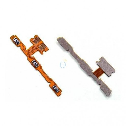 P21-500x500