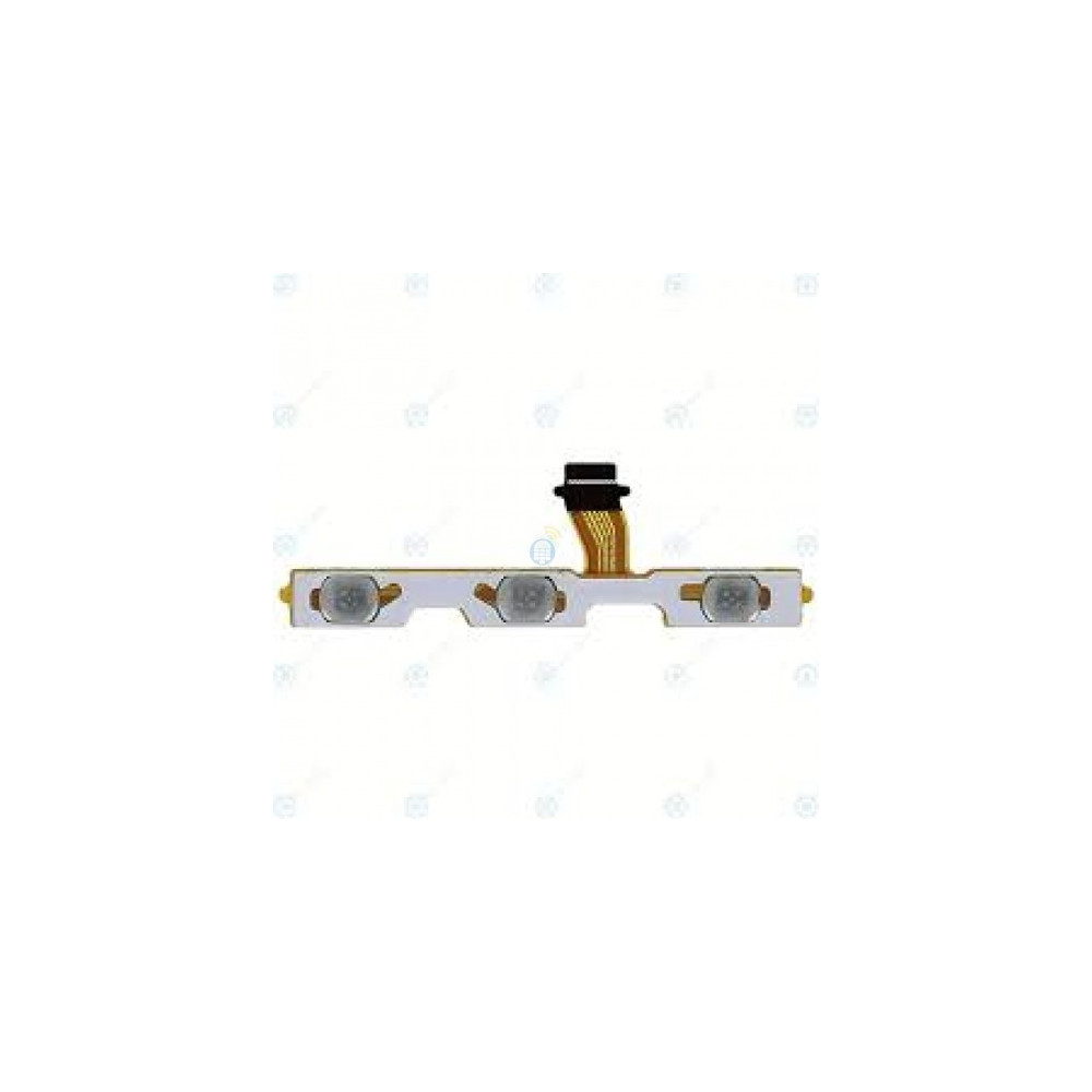 Y555-500x500 Y555-500x500