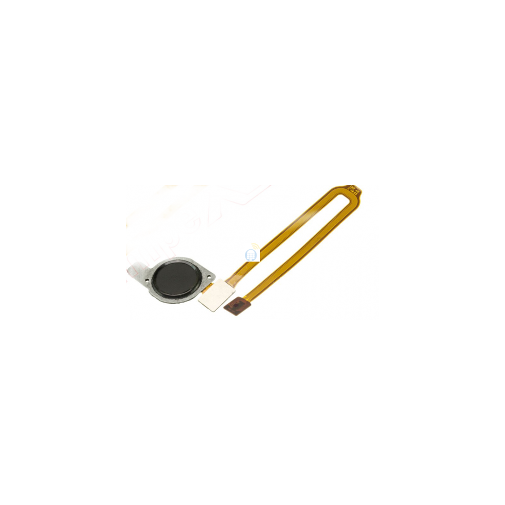 403-500x500