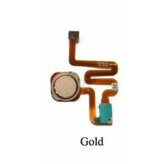 gold1111