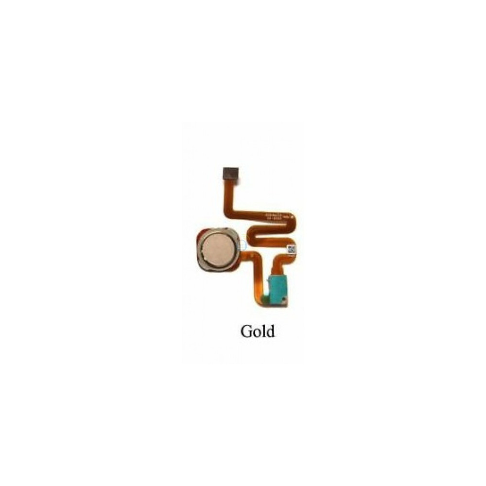 gold1111 gold1111