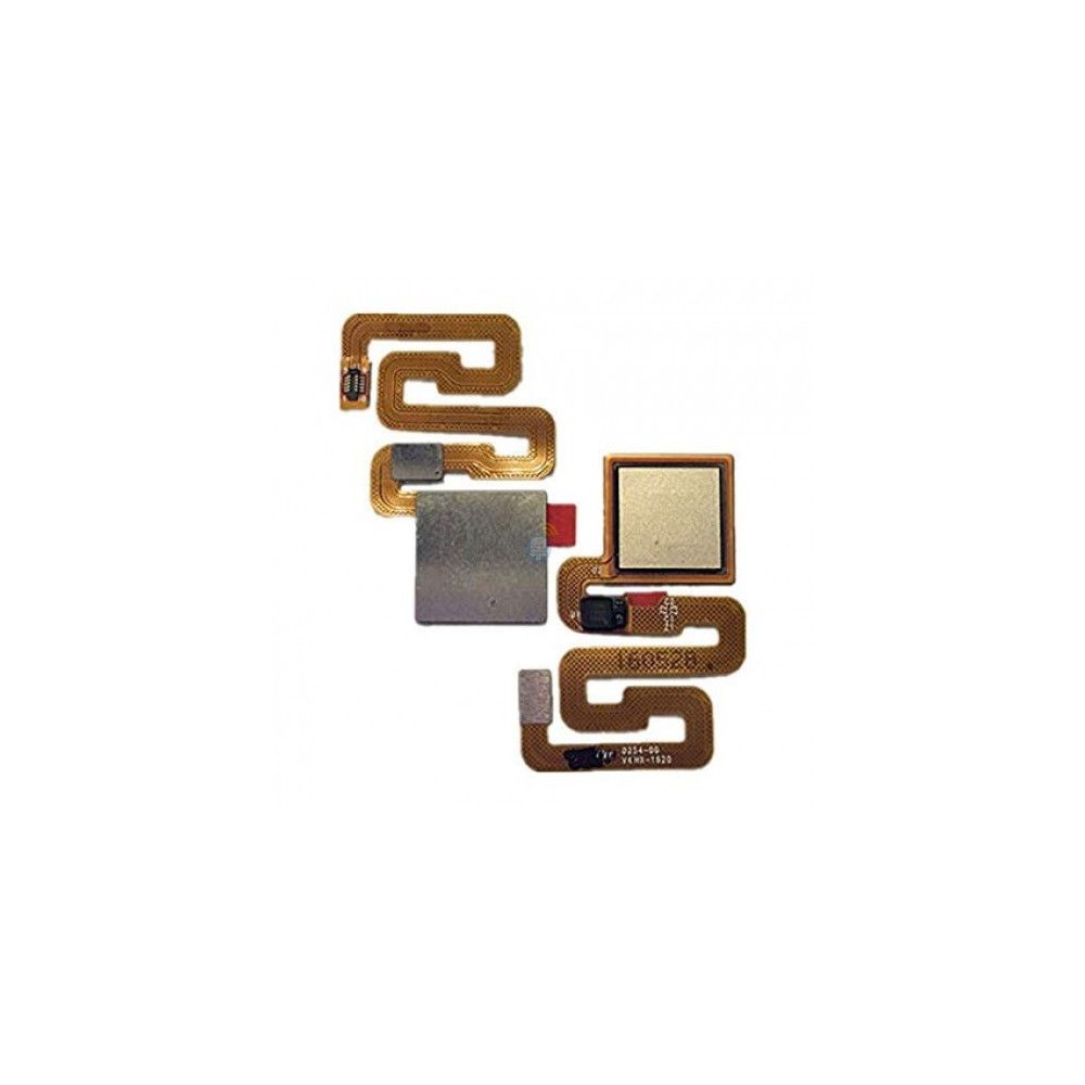 gold11111111 gold11111111
