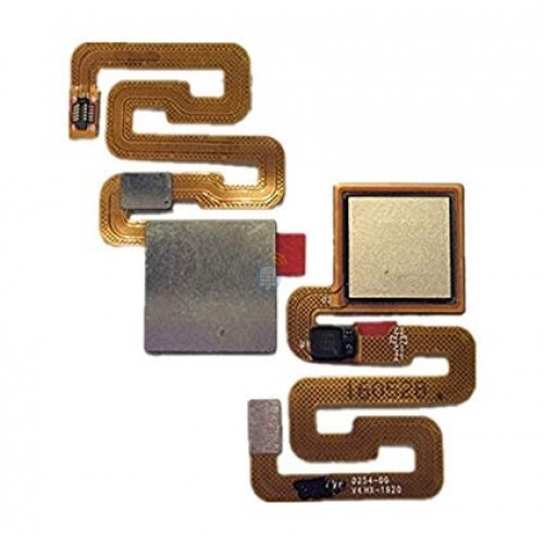 gold11111111