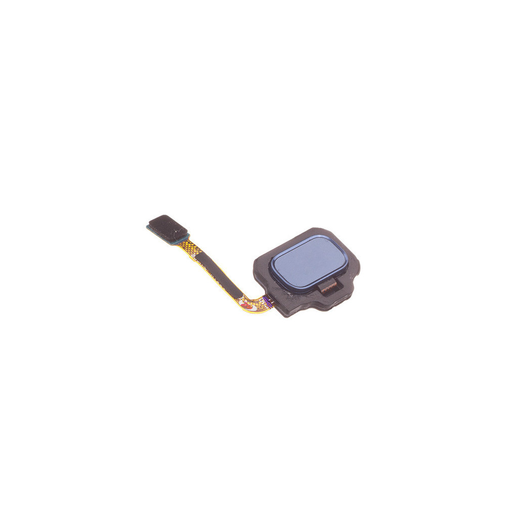 1203229 1203229