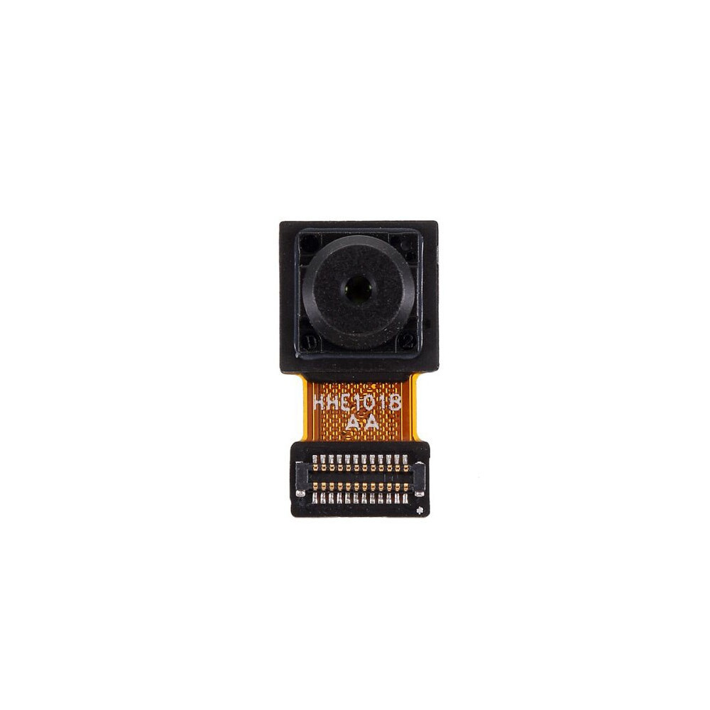y6 2019