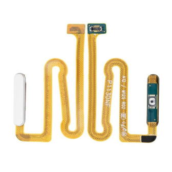 4410283520000.1 4410283520000.1