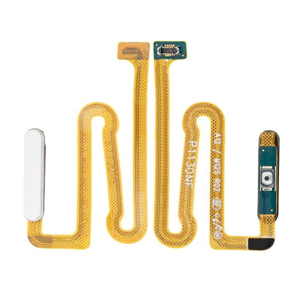 4410283520000.1 4410283520000.1