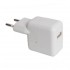 Adaptador Usb Apple Para Ipad Branco 10w 2.1a