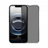 Pelicula De Vidro Anti-Spy Apple Iphone 16e 6.1" Preto Privacy