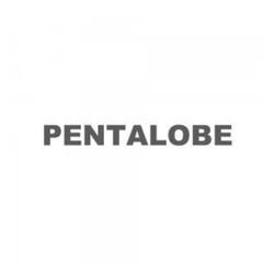Pentalobe